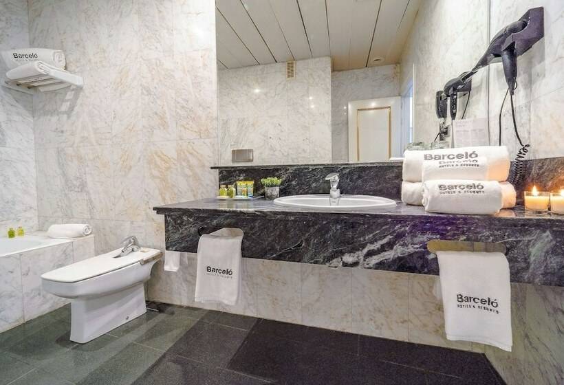 スタンダードシングルルーム, Barcelo Carmen Granada