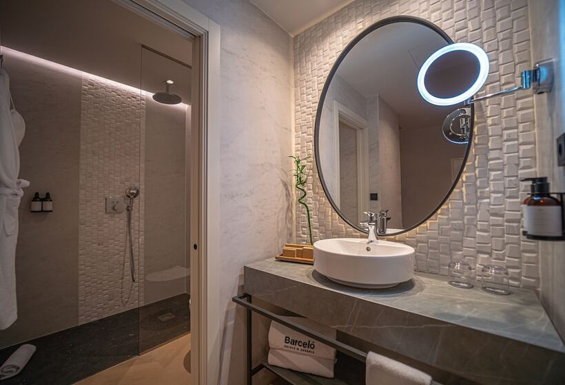 スタンダードシングルルーム, Barcelo Carmen Granada