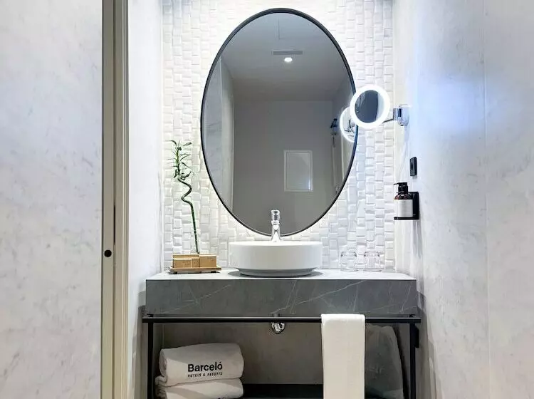 Chambre Standard Individuelle, Barcelo Carmen Granada
