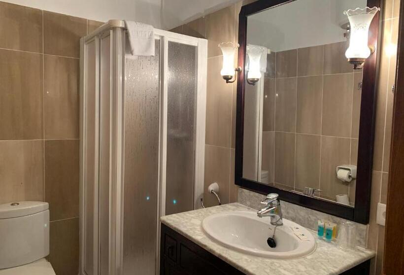 اتاق استاندارد, Casa Palacio La Sal