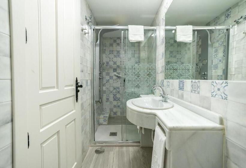 اتاق استاندارد, Casa Palacio La Sal