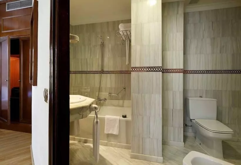 Standard Værelse, Exe Triunfo Granada