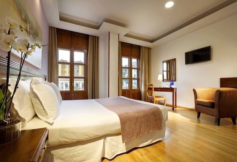 Standard Interior Værelse, Exe Triunfo Granada