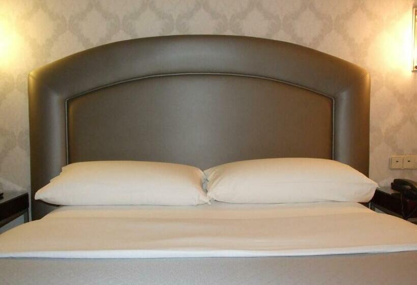 スタンダードルーム, Macia Alfaros