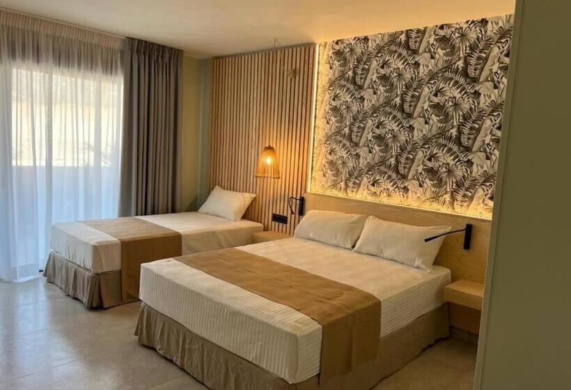 スタンダードトリプルルーム, Noy