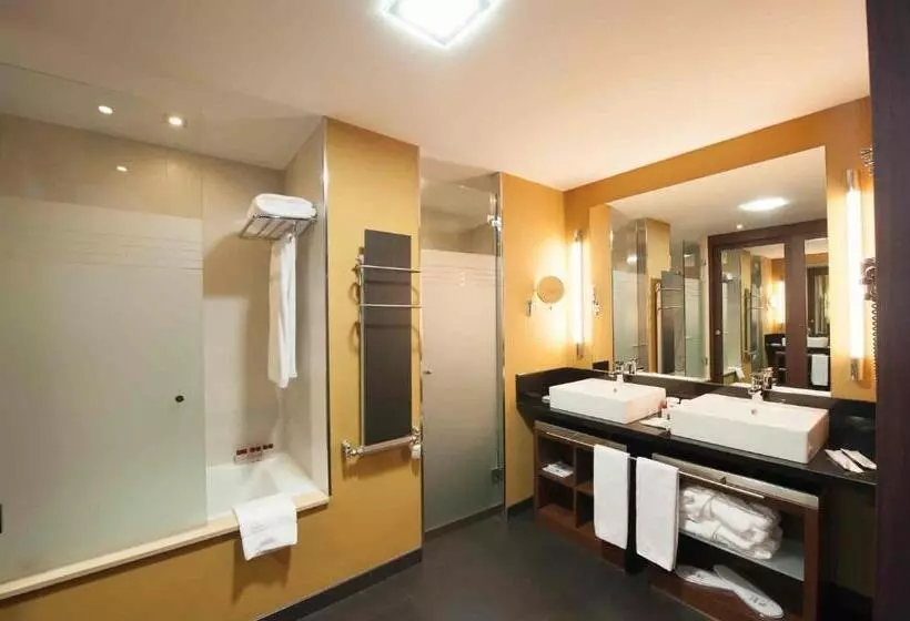 スタンダードシングルルーム, Sommos Hotel Aneto