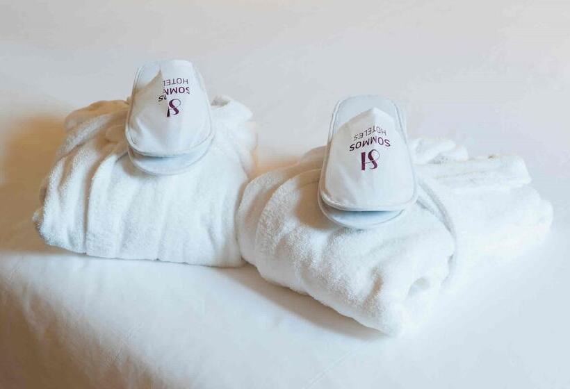 Номер Стандарт Индивидуальный, Sommos Hotel Aneto