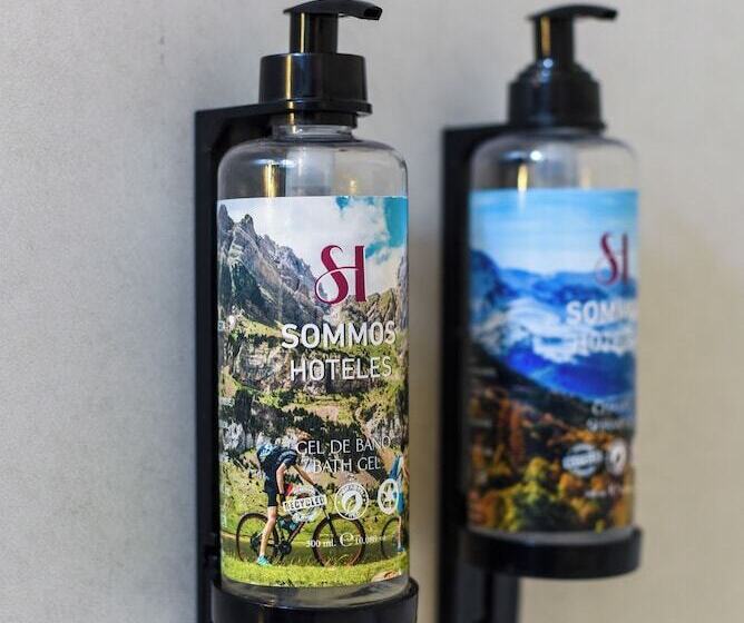 Номер Стандарт с Террасой, Sommos Hotel Aneto