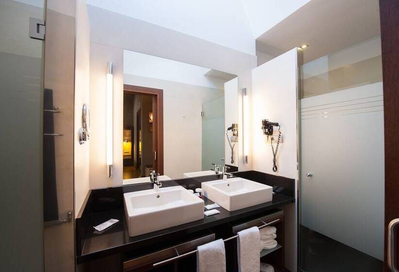 Номер Стандарт с Террасой, Sommos Hotel Aneto