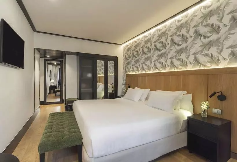 اتاق استاندارد, H10 Puerta de Alcalá