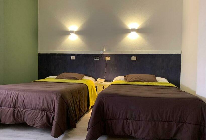 스탠다드 룸, Los Olmos