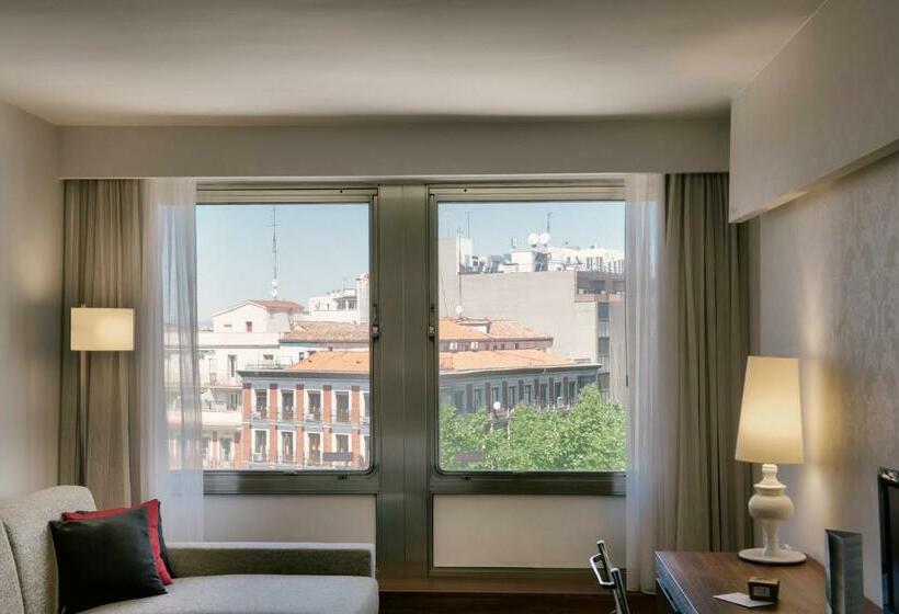 اتاق لوکس با تخت بزرگ, Princesa Plaza Madrid