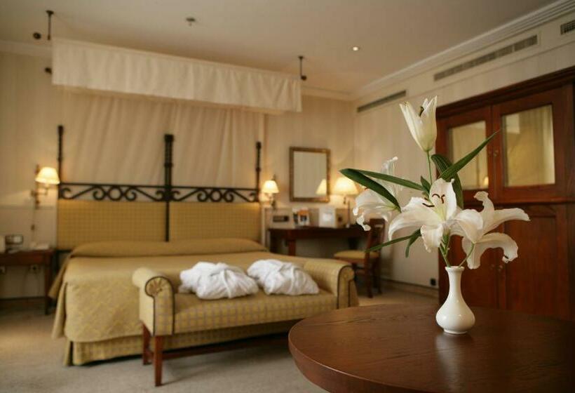 سوئیت با تخت بزرگ, Princesa Plaza Madrid