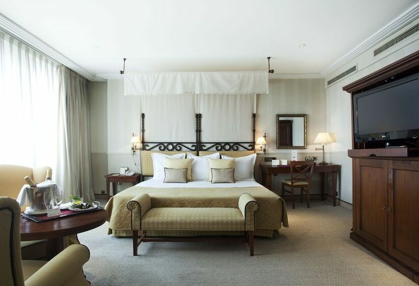 سوئیت با تخت بزرگ, Princesa Plaza Madrid