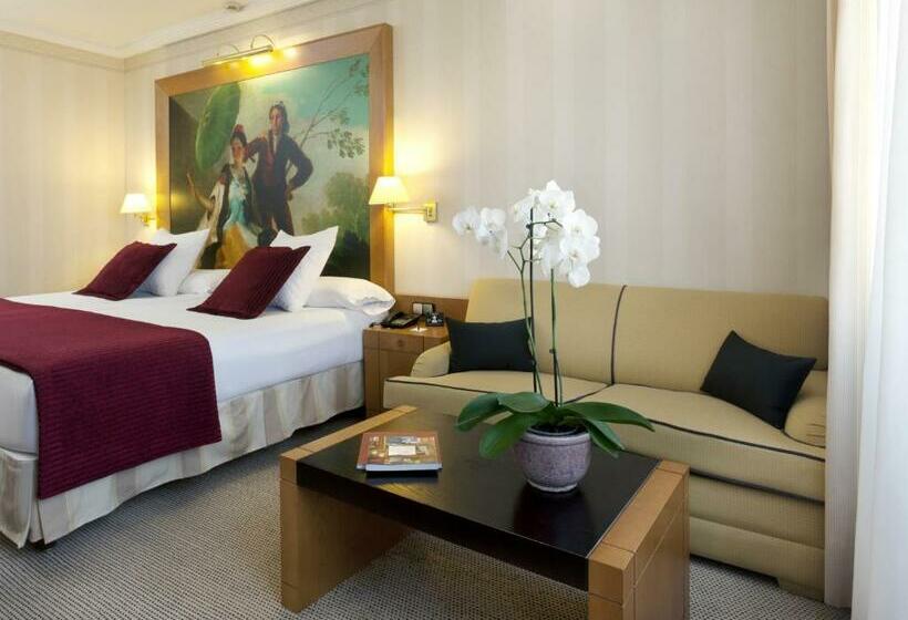 اتاق کلاسیک با تخت دونفره, Princesa Plaza Madrid