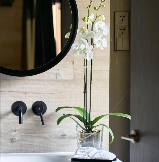 インサイドジュニアスイート, Regina