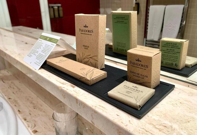 غرفة قياسية, Parador De Salamanca