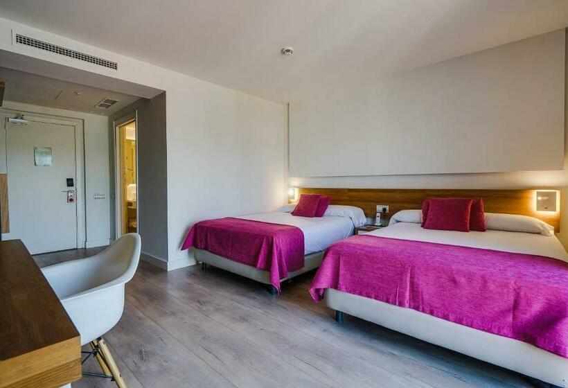 수피리어 룸, Brisamar Suites