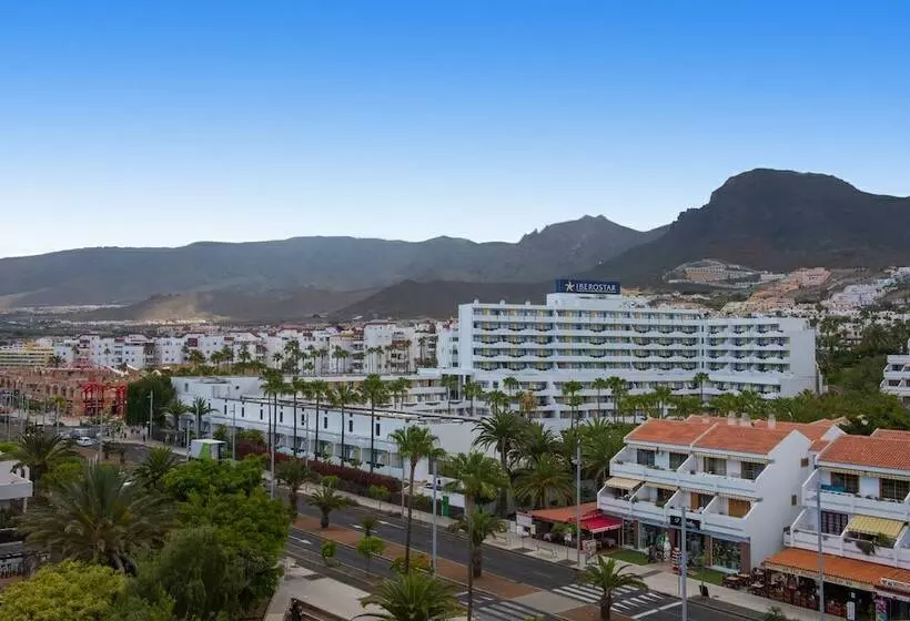 اتاق عادی, Iberostar Waves Bouganville Playa