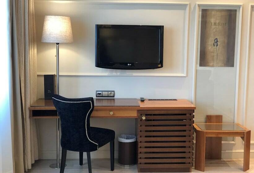 غرفة قياسية, Olid