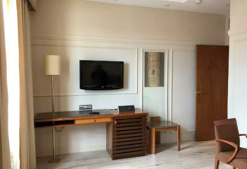 اتاق استاندارد یک نفره, Olid