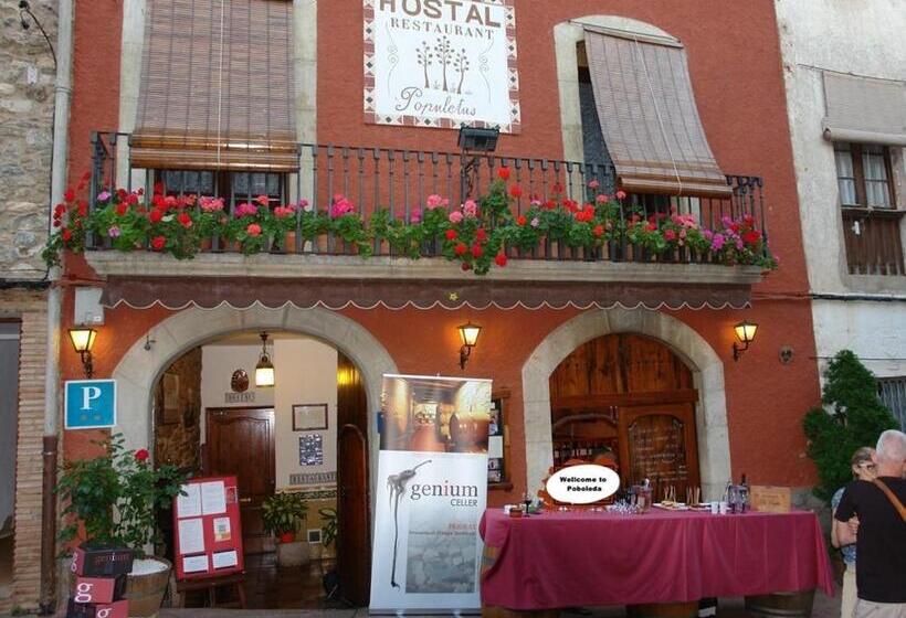 Номер Стандарт, Hostal Populetus