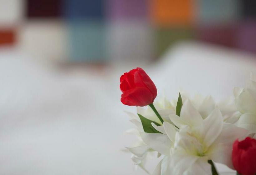 اتاق استاندارد, Vilana Hotel Boutique