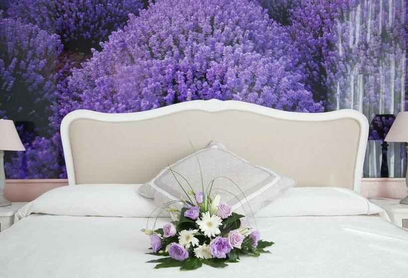 اتاق سوپریور, Vilana Hotel Boutique