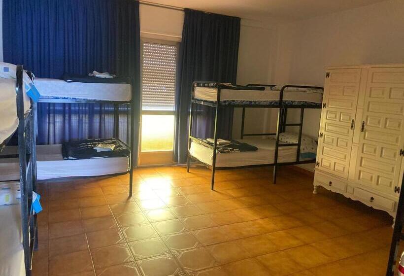 تختخواب در اتاق مشترک, Albergue Pensión Flavia