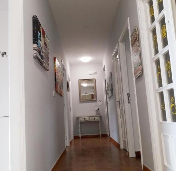 تختخواب در اتاق مشترک, Albergue Pensión Flavia