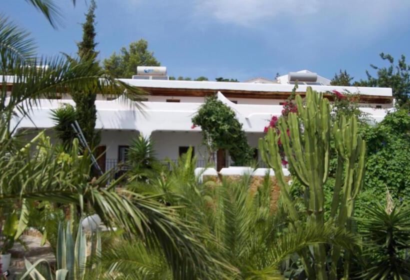 豪华房间, Buenavista Suites Hotel Boutique