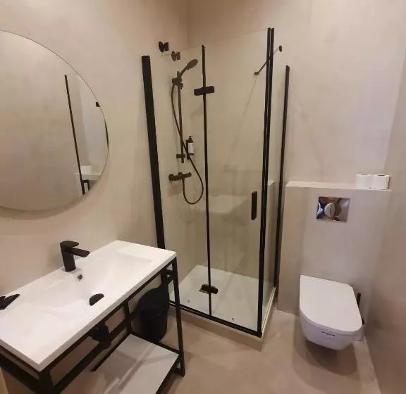 اتاق سوپریور با بالکن, Hostal Lausanne