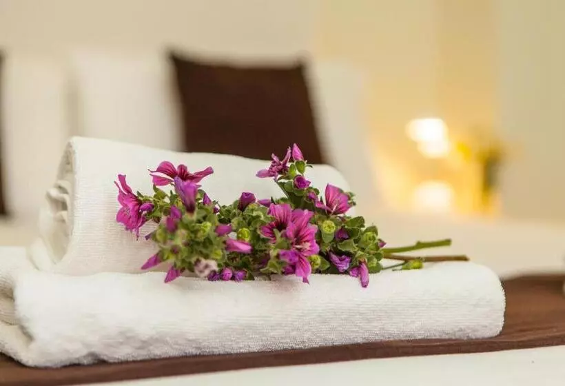 اتاق استاندارد, Hostal Doris Adults Only