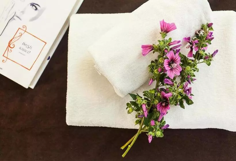 اتاق سوپریور, Hostal Doris Adults Only