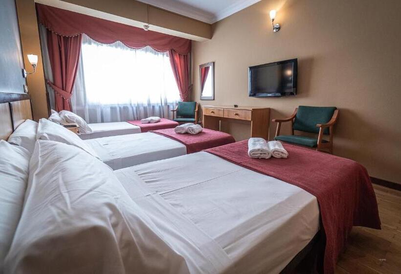 اتاق استاندارد سه نفره, Silva