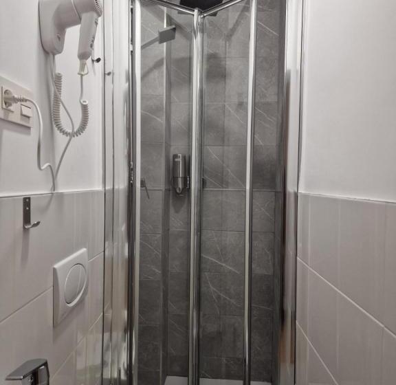 اتاق عادی یک تخته, Hostal Esparteros