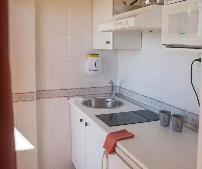 آپارتمان کلاسیک 1 خوابه, Apartahotel Aguadulce