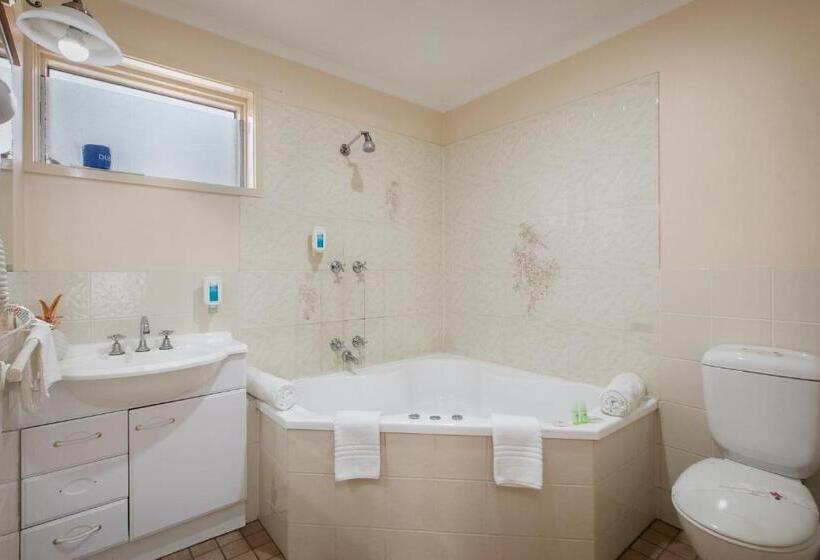 חדר סטנדרט עם ג'קוזי, Australia Park Motel