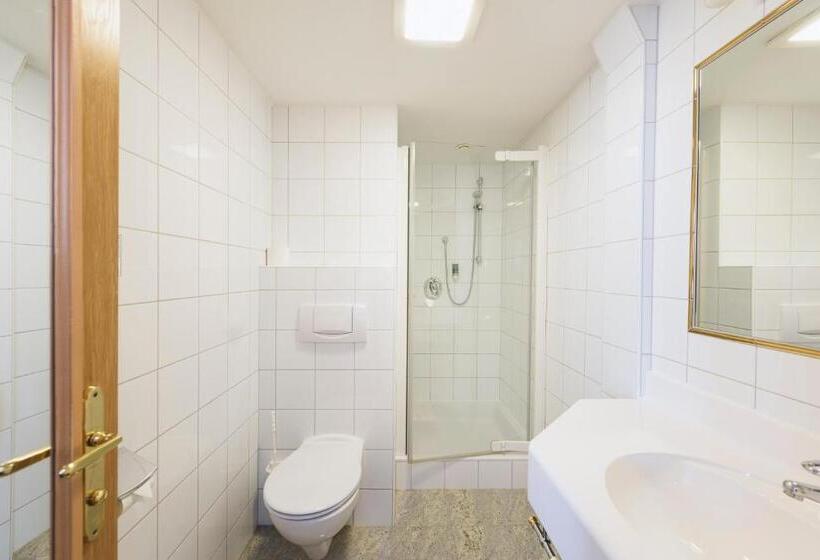 חדר סטנדרט, Arlberghaus