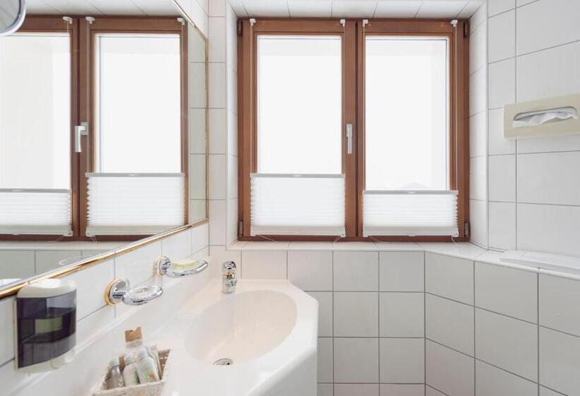 חדר סטנדרט יחיד, Arlberghaus