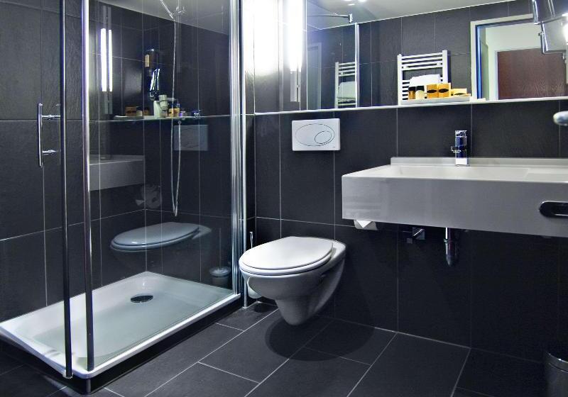 Номер Стандарт Индивидуальный, Best Western Plaza Hotel Wels