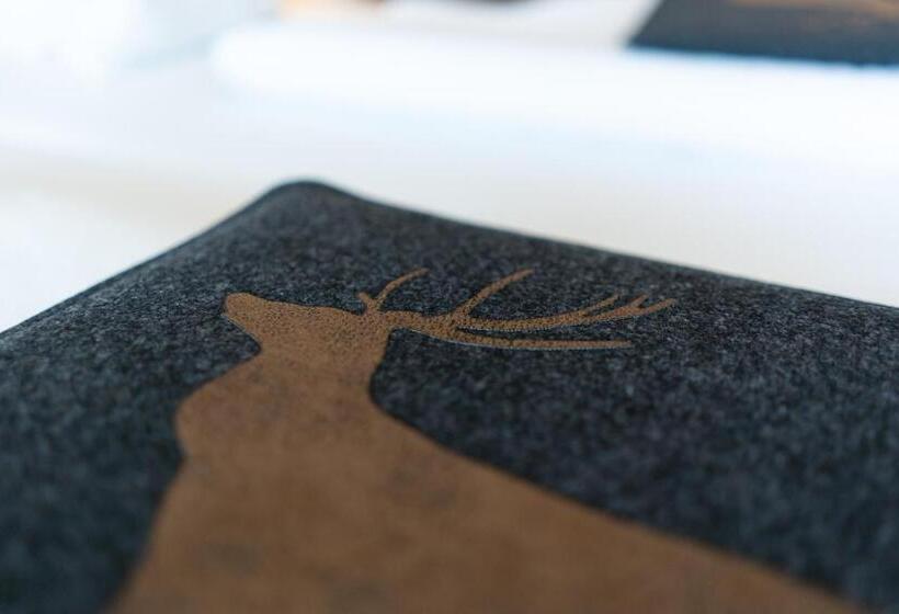 ビジネスルーム, Binders Budget Citymountain