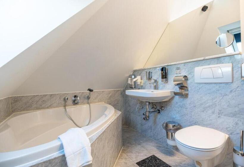 ジュニアスイート, Binders Budget Citymountain