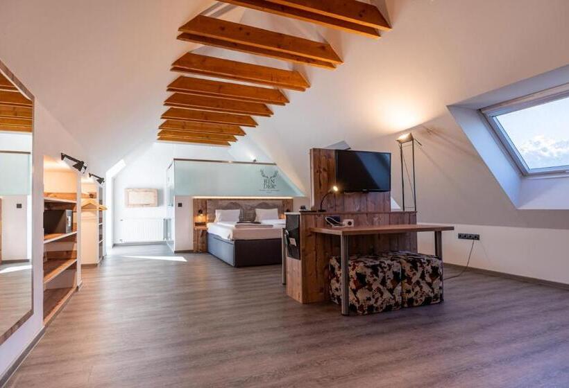 スイート, Binders Budget Citymountain