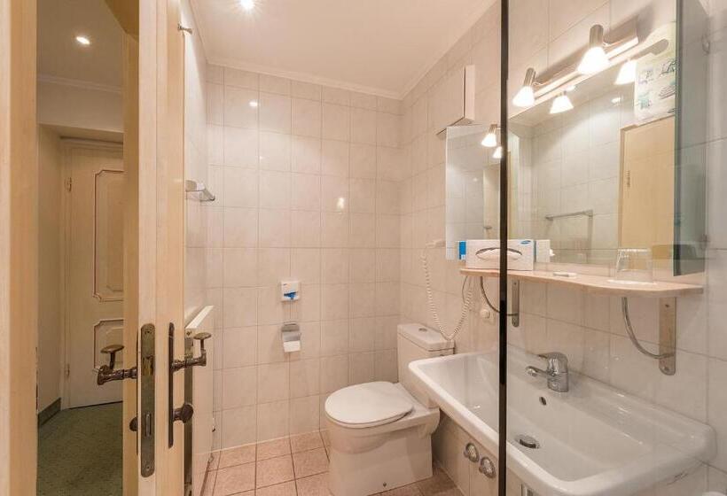 חדר סופריור יחיד, Gasthof Bräuwirth