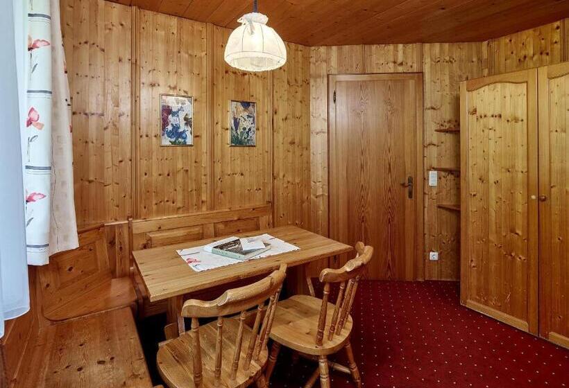 آپارتمان 2 خوابه, Monika & Montafon Chalets