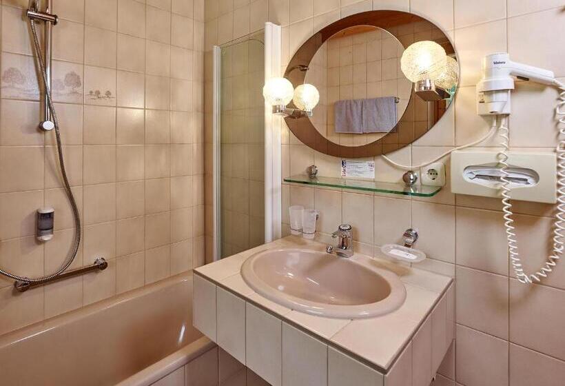 带2个卧室的公寓, Monika & Montafon Chalets