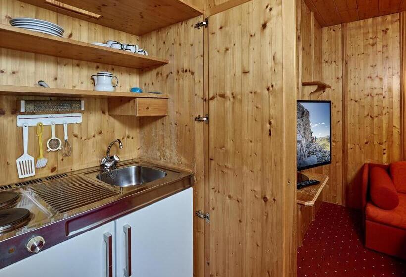آپارتمان 2 خوابه, Monika & Montafon Chalets