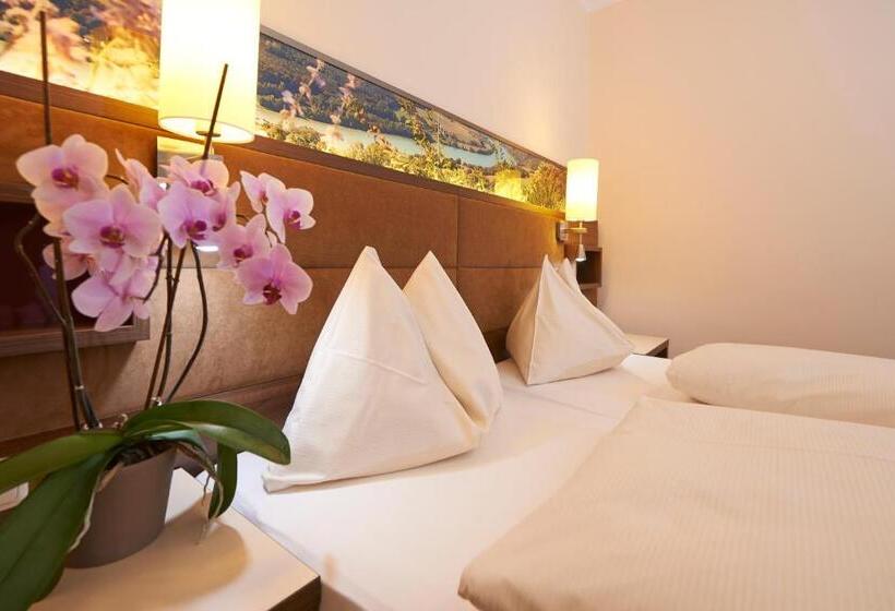 标准间, Schachner