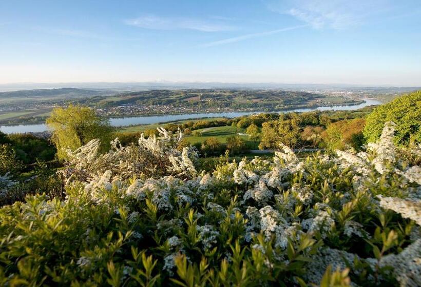 豪华房间, Schachner